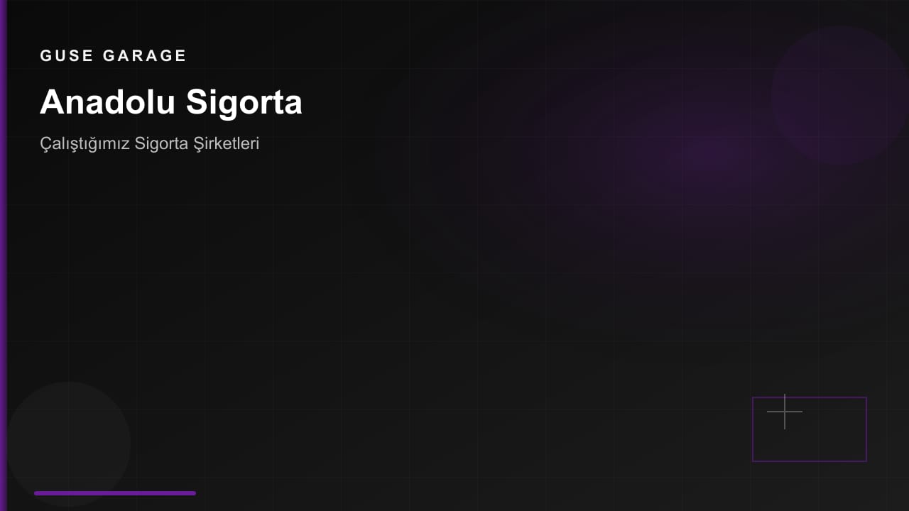 Anadolu Sigorta hasar onarımı — Guse Garage